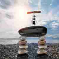 脚‌本‍使﻿用‌vi替‌换​或﻿增‌加﻿行﻿